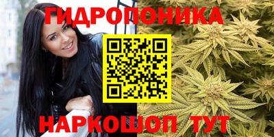 прущая мука Можга