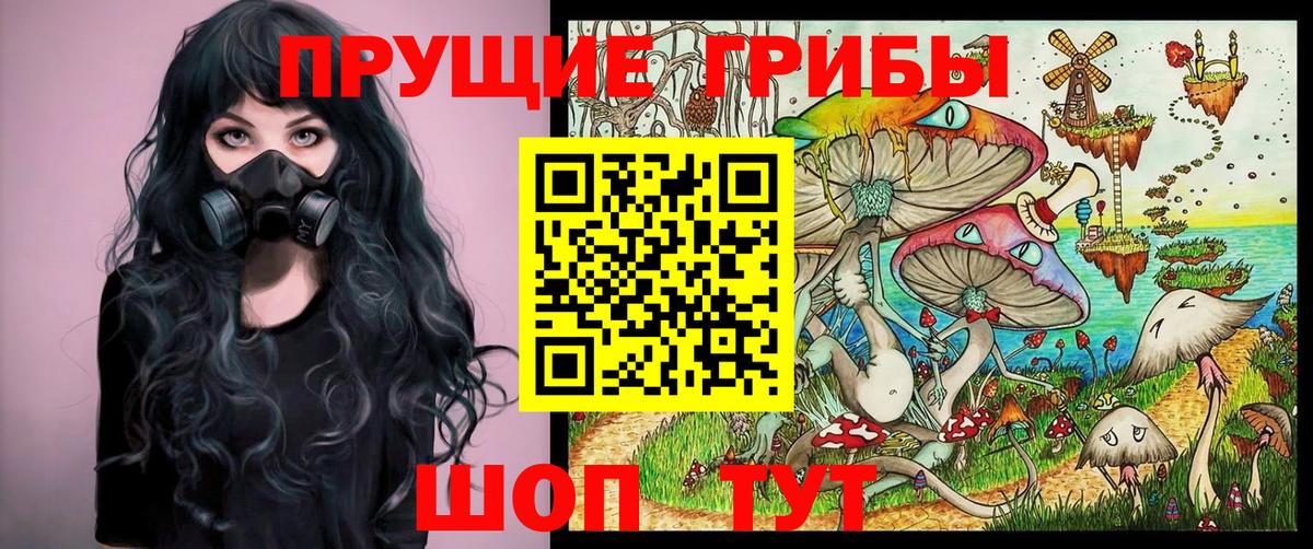 Северодвинск  Псилоцибиновые грибы MAGIC MUSHROOMS  Вход с VPN 